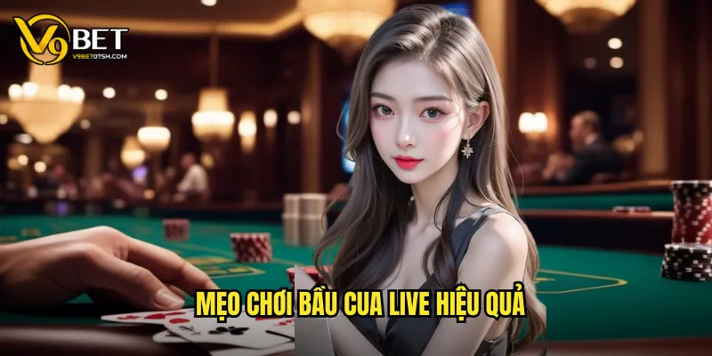 Mẹo chơi bầu cua live hiệu quả
